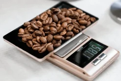 Balance de cuisine de précision Taylor Pro en acier inoxydable capacité 500g