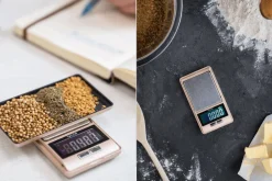 Balance de cuisine de précision Taylor Pro en acier inoxydable capacité 500g