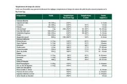 Barbecue Big Green Egg XLarge multifonctions en céramique de qualité supérieure