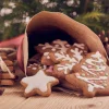 Boîte 5 découpoirs sapins Scrapcooking en polypropylène