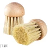 Brosse à champignons La Bonne Graine 4cm