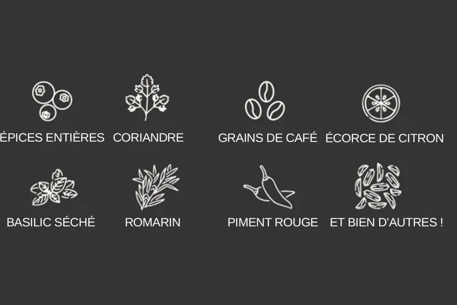 Capsule de broyage FinaPod Max pour moulin à épices Finamill