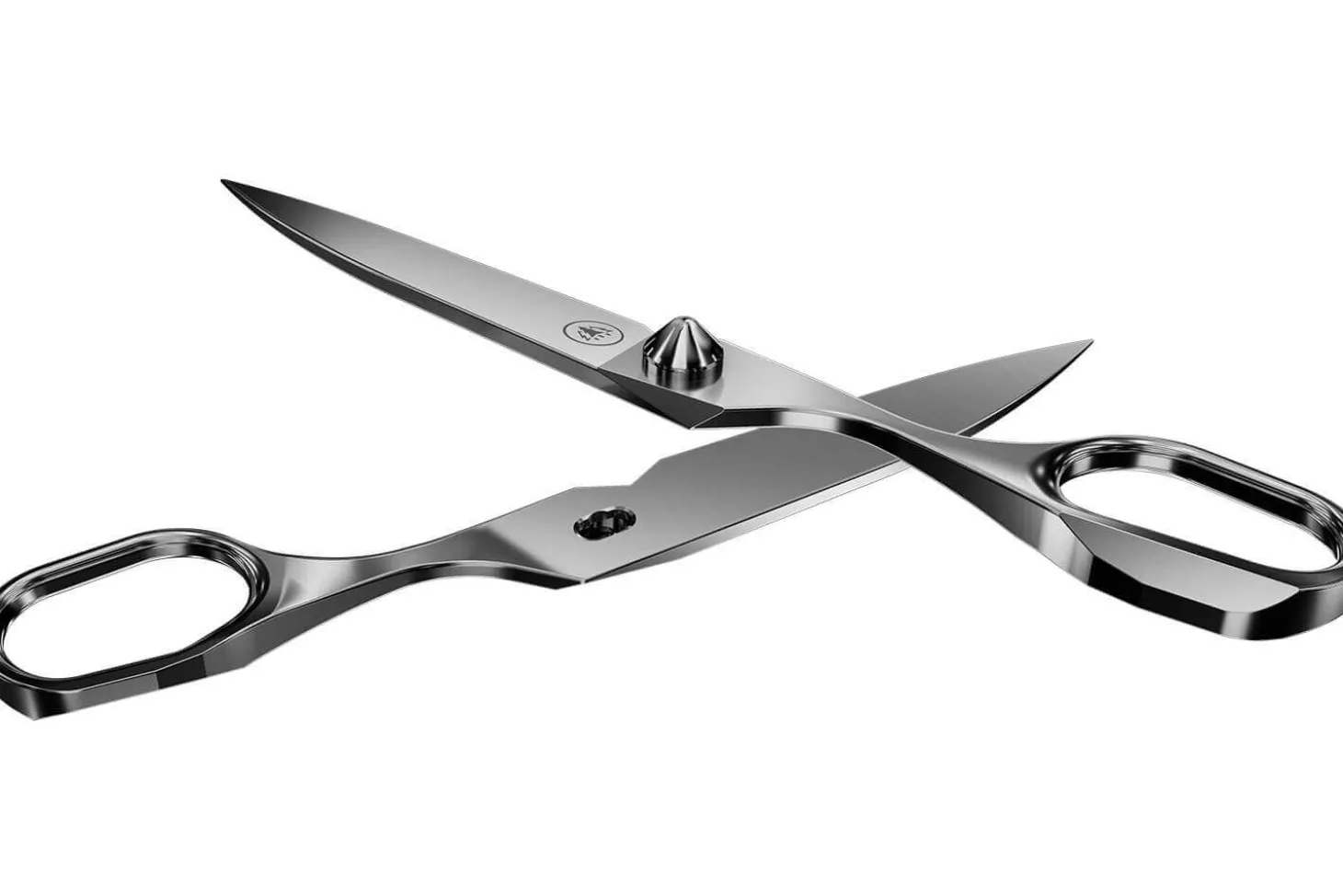 Ciseaux professionnels HORL® haut de gamme séparables