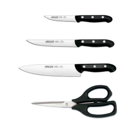 Coffret 3 couteaux + 1 ciseaux Arcos MAITRE lame acier inox NITRUM