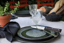 Coffret 4 couteaux de table Opinel Facette manche frêne sombre lame 11cm inox lisse