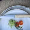 Coffret 4 couteaux de table Opinel Facette manche frêne lame 11cm inox lisse