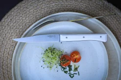 Coffret 4 couteaux de table Opinel Facette manche VittEr® blanc lame 11cm inox lisse
