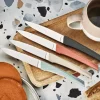 Coffret 6 couteaux Kiana de table lame inox 10,4cm manche terracotta