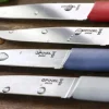 Coffret 4 couteaux Opinel Bon Appétit+ Primo 11cm inox