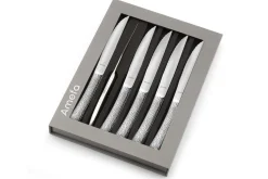 Coffret 6 couteaux à steak Amefa Bongo XL tout inox
