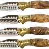 Coffret 4 couteaux à steak Homey's by Schiffmacher lame 8cm