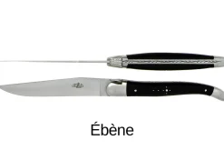 Coffret de 6 couteaux de table Forge de Laguiole 2 mitres en inox panache de bois