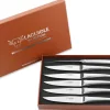 Coffret de 6 couteaux de table Laguiole en Aubrac Monobloc en inox brillant