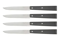 Coffret de 4 couteaux de table Opinel N°125 Pro lames micro dentées 11cm
