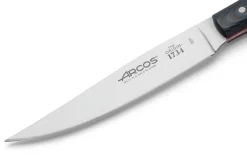 Coffret de 4 couteaux à steak Arcos The Origin manche micarta bleu