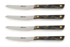 Coffret de 4 couteaux à steak Arcos Flysch lame dentelée 11cm