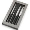Coffret de 4 couteaux à steak Fusion Amefa