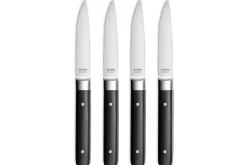 Coffret de 4 couteaux à steak Fusion Amefa