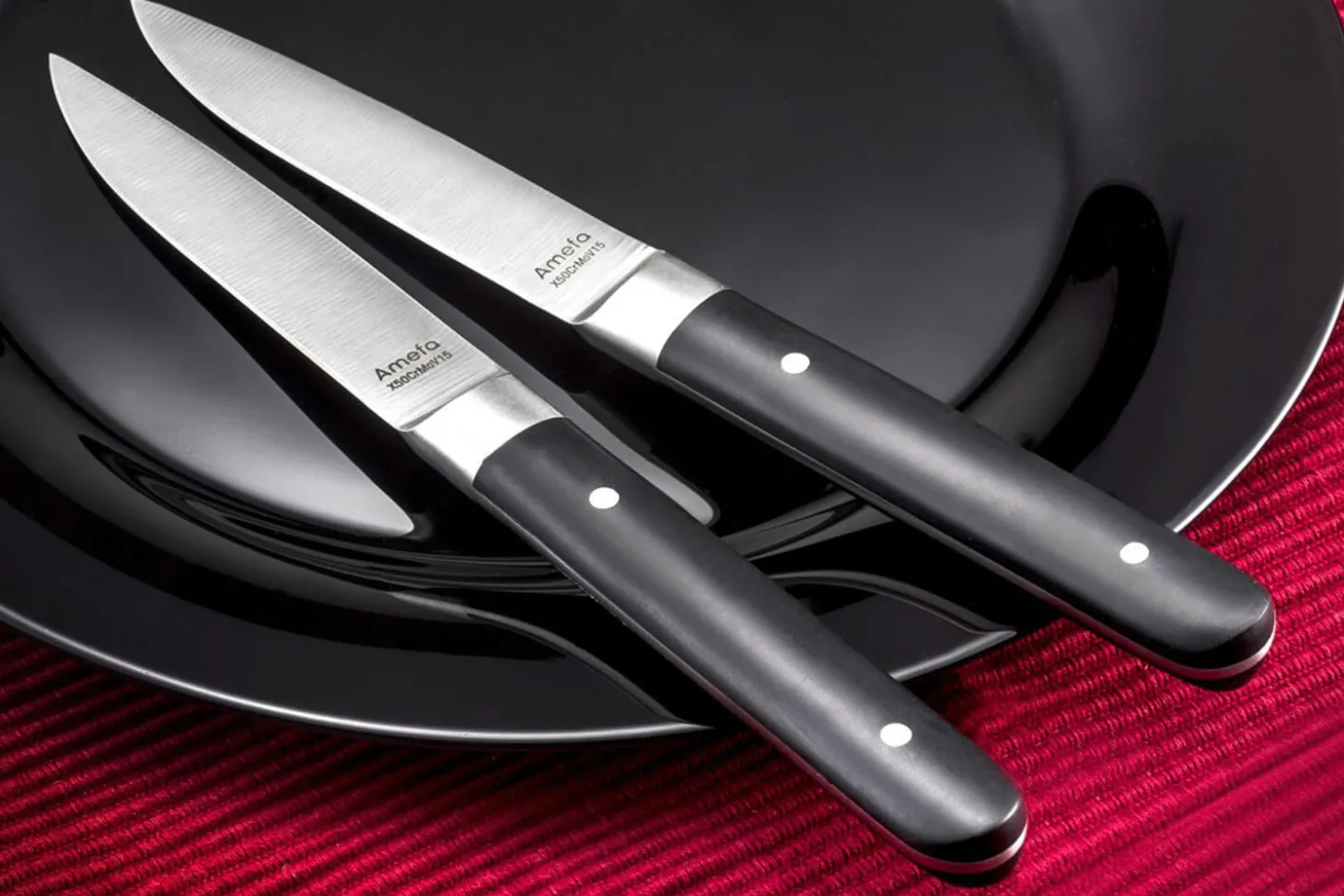 Coffret de 4 couteaux à steak Fusion Amefa