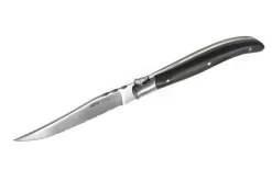 Coffret de 4 couteaux à steak Gefu Basco lame microdentée en acier japonais