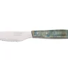 Coffret de 6 couteaux à steak/pizza Arcos lame dentelée 11cm manche bois bleu