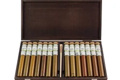 Coffret d'épices Le Monde en Tube Alchimie 14 tubes + cuillère-mesure