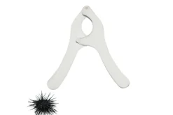 Coupe oursin Chevalier Diffusion en acier inox