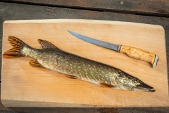 Couteau Arctic Legend Fillet Knife AL023 artisanal lame 16cm manche en bouleau frisé + étui en cuir