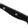 Couteau bec d'oiseau WMF Spitzenklasse Plus lame en acier inoxydable 7cm