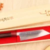 Couteau bunka 16,5cm japonais artisanal Takeshi Saji VG10 Rainbow