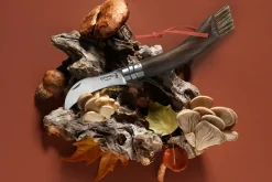 Couteau à champignon Opinel N°08 noyer noir + brosse intégrée + plumier