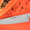 Couteau de chef Arcos Brooklyn lame 25cm