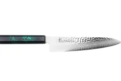 Couteau de chef japonais 21cm Sakai Takayuki Nanairo Green Damas VG10