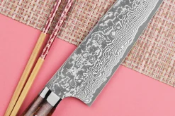 Couteau de chef japonais Takeshi Saji R2 Damas Mosaïque 24cm
