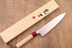 Couteau de chef japonais Tsunehisa VG10 Honoki 24cm