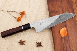 Couteau de chef kiritsuke 21cm japonais artisanal Sukenari SG2 damas