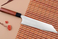 Couteau de chef kiritsuke japonais artisanal Shibata Koutetsu R2 21cm