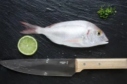 Couteau de chef Opinel Parallèle n°118 lame 20cm manche hêtre