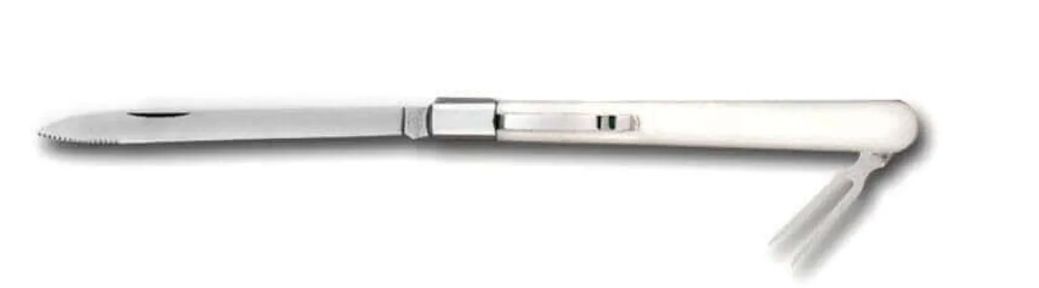 Couteau de dégustation Bargoin pliant pour fromages lame 11cm inox