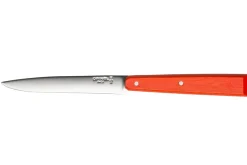 Couteau de table Opinel Bon Appétit Bois n°125 lame 11cm en inox manche en charme mandarine