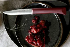 Couteau de table Opinel Bon Appétit + lame 11cm en inox manche en polymère grenat