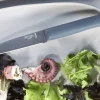 Couteau de table Opinel Bon Appétit + lame 11cm en inox manche en polymère sauge