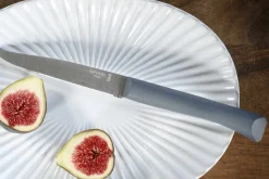 Couteau de table Opinel Bon Appétit + lame 11cm en inox manche en polymère sauge
