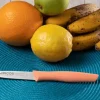 Couteau d'office Arcos Nova 8,5cm manche corail