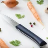 Couteau d'office Intempora Opinel n°226 lame crantée 10cm manche bleu marine