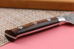 Couteau d'office japonais Takeshi Saji R2 Damas Mosaïque 8cm