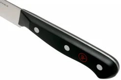 Couteau filet de sole Wüsthof Gourmet lame flexible 16cm