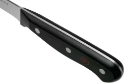 Couteau à filet de sole Wüsthof Gourmet lame flexible 20cm