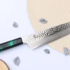 Couteau kiritsuke japonais 19cm Sakai Takayuki Nanairo Green Damas VG10