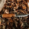 Couteau Marttiini Antler 546012 lame carbone 11cm manche bouleau + étui/coffret cadeau